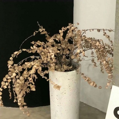 兽设自然元素结合FurryQQ群